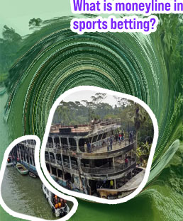 Bovada news in bangladesh