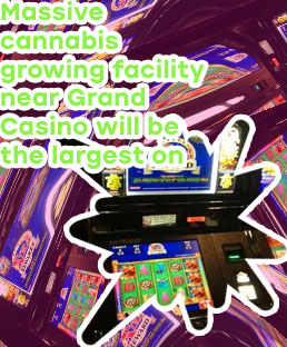 Grand casino mille lacs news